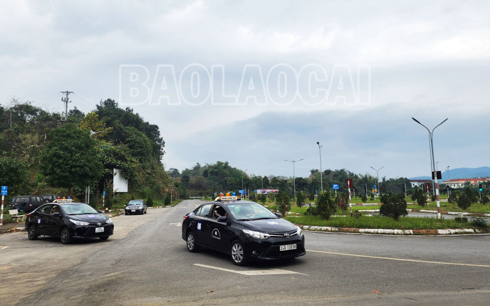 Học Lái Xe B Số Sàn TPHCM